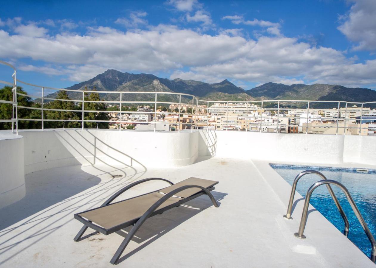 Spacious Renovated 1-bedroom In Center With Free Parking Apartment